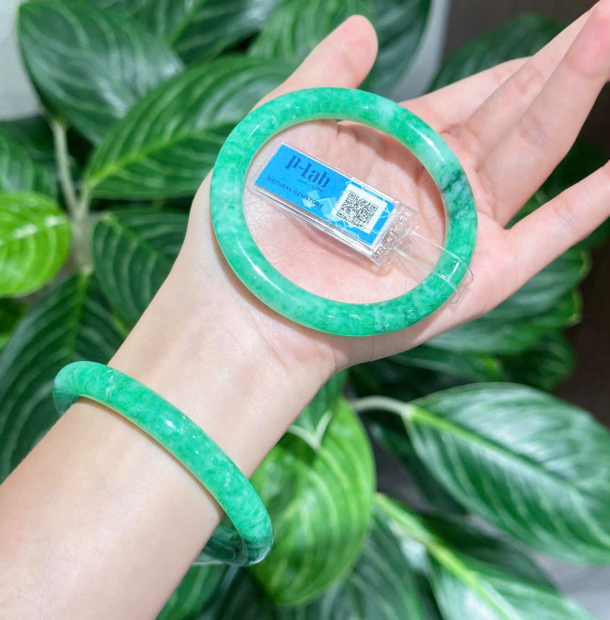 Vòng Ngọc Cẩm Thạch Type B - Xanh Cay